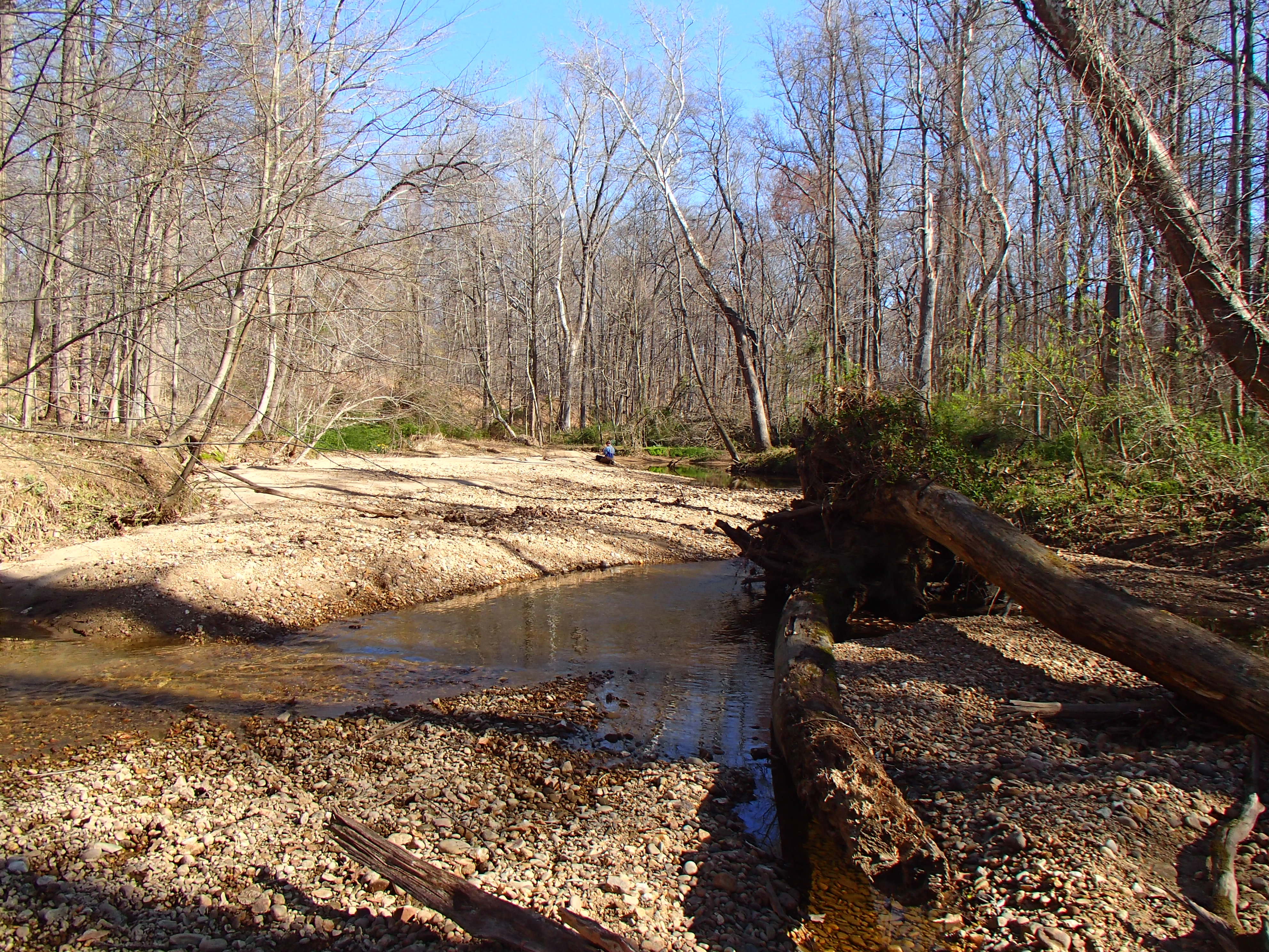 Field photo showing stream conditions at site SWAN-202-R-2016_midpoint looking upstream